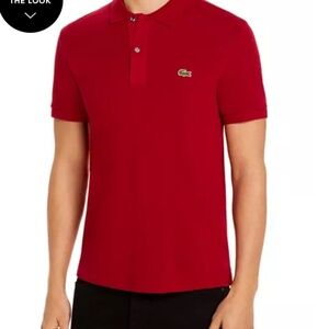 Lacoste Petit Piqué Slim Fit Polo Shirt Size Medium (4) Bordeaux NWT